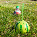 Cocktail Ball - Watermelon - Spherical - 24 ounce