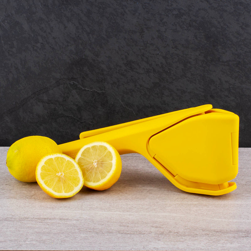 Flat Citrus Juicer