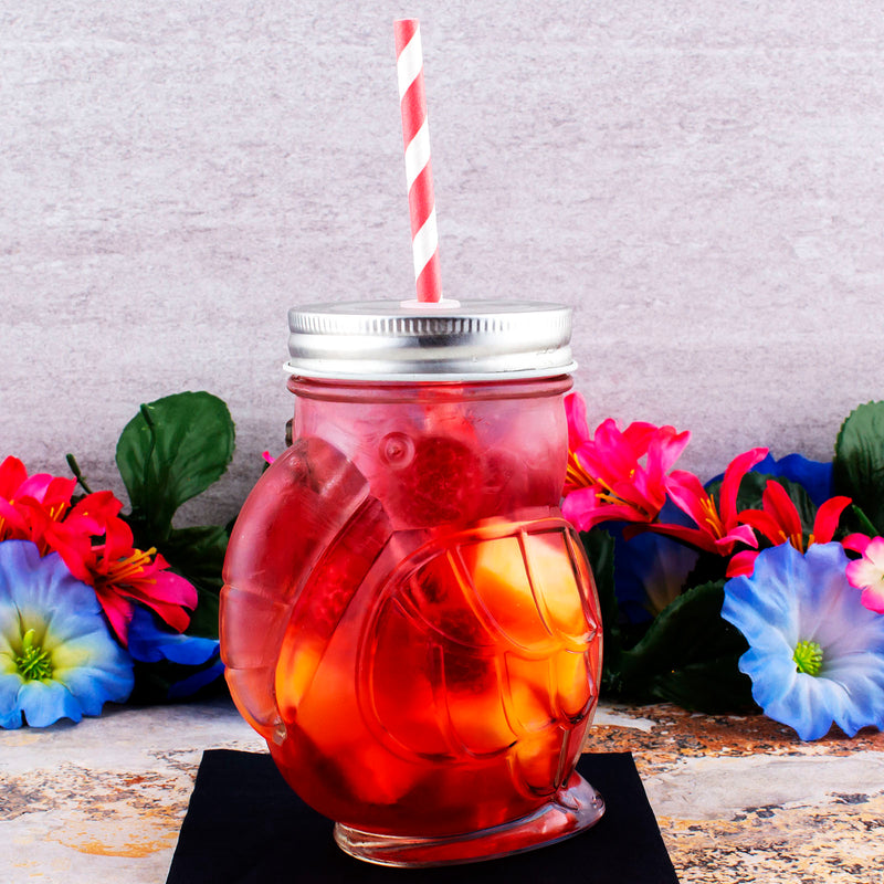 Parrot Mason Jar w/lid - 14 ounce - BarConic®