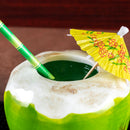 BarConic® Natural Green Coconut - Tiki Drinkware