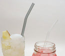 Borosilicate Glass Straws - Bent