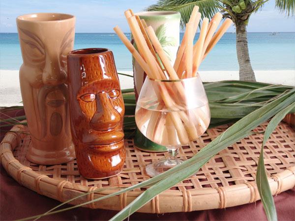 Hawaiian Sugar Cane Swizzle Sticks 