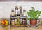 Counter Caddies™ - CULINARY Theme - 12" STRAIGHT Shelf 