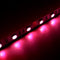 LED Light Strip Ultra-Bright 5050 - 5 Meter Roll - IP20 Non-Waterproof - 16.4 ft