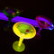 12 count - 2 Piece Martini Glasses - Assorted Neon - 9 ounce