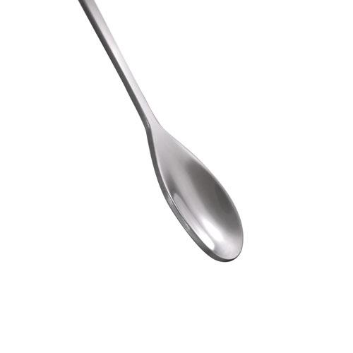 Stainless Steel Spoon