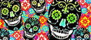 Kolorcoat™ Flair Bottle - Sugar Skulls Design - 750ml 