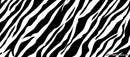 Kolorcoat™ Flair Bottle - Zebra Print Design - 750ml